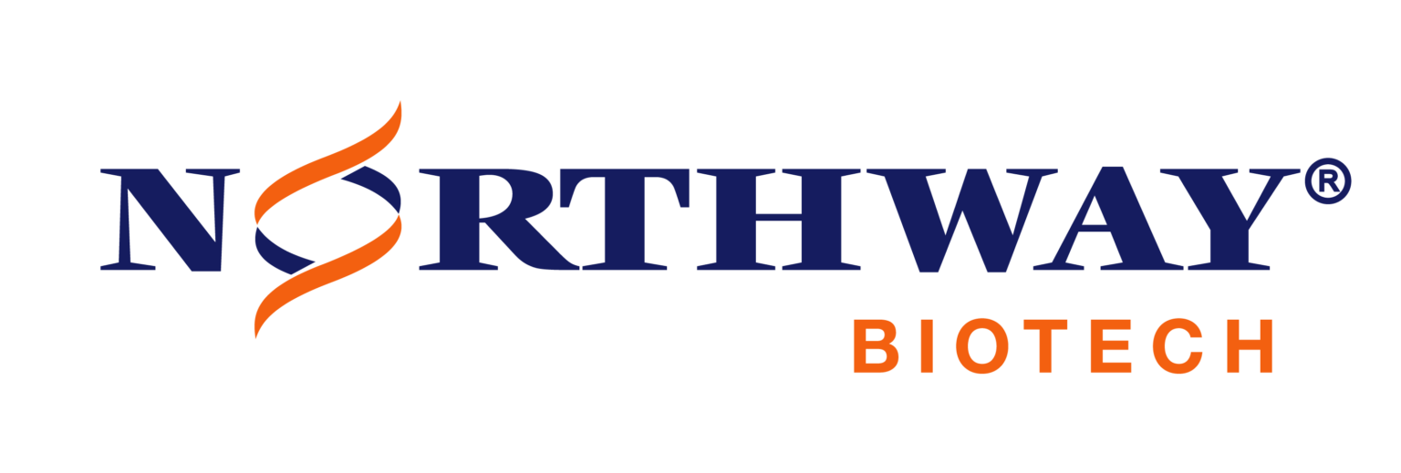 Northway Logo CRO